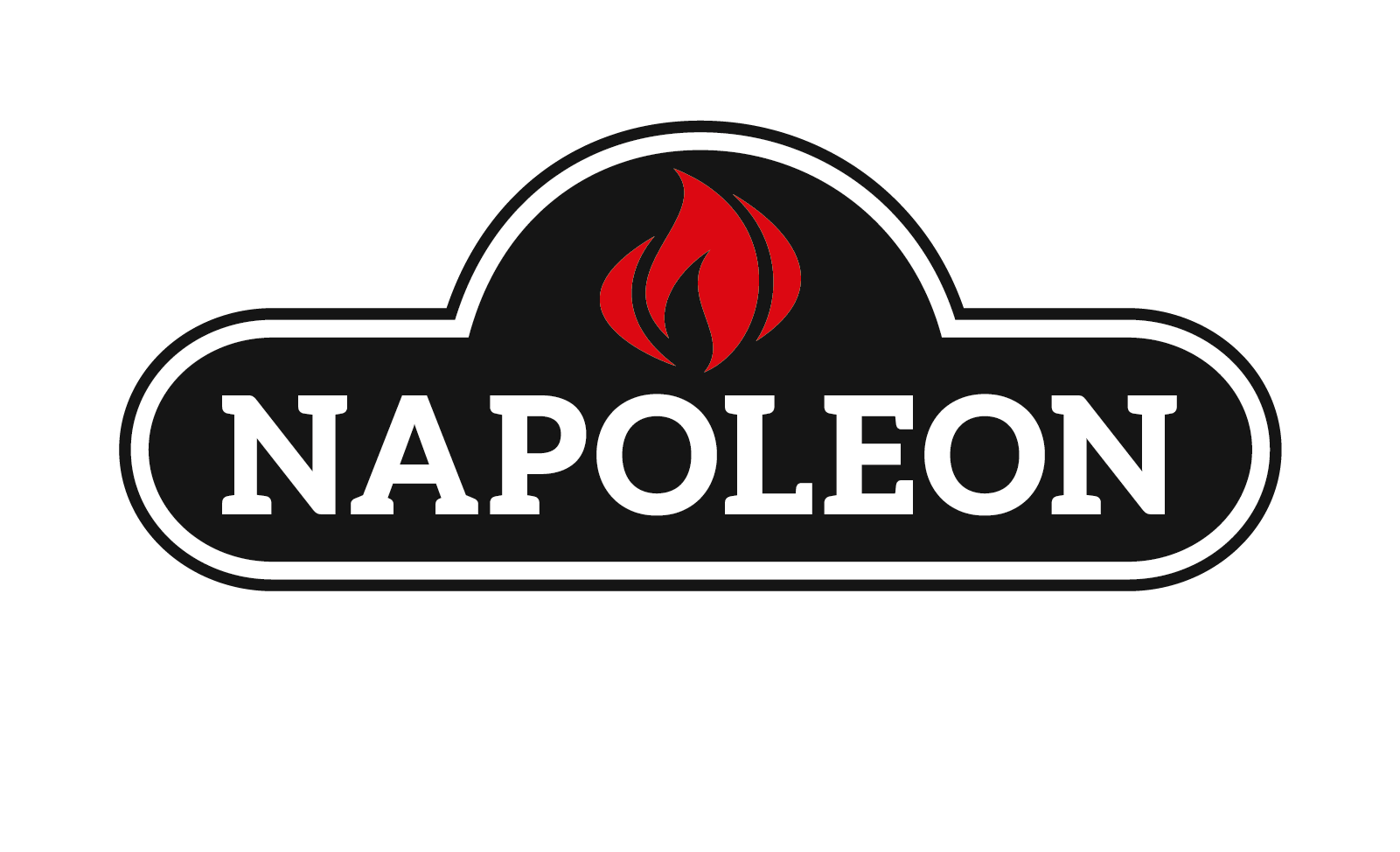 NAP_Logo_4c_standard_white text
